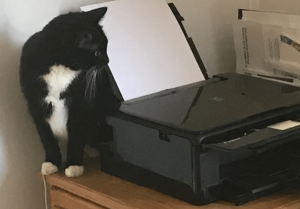 3Dプリンティングの未来：プロセスと技術の進化